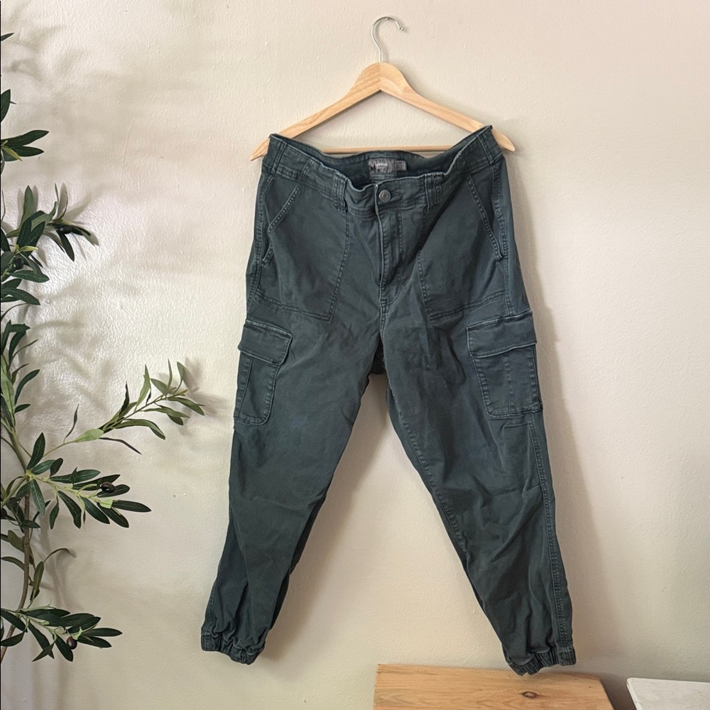 Women’s Green Cargo Pants Torrid 14R